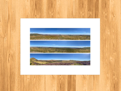 The Cheviots Purple Heather - Scenic Panoramic Photography - A3 Print