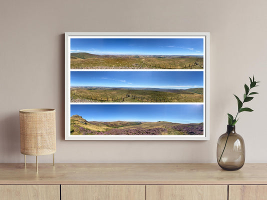 The Cheviots Purple Heather - Scenic Panoramic Photography - A3 Print
