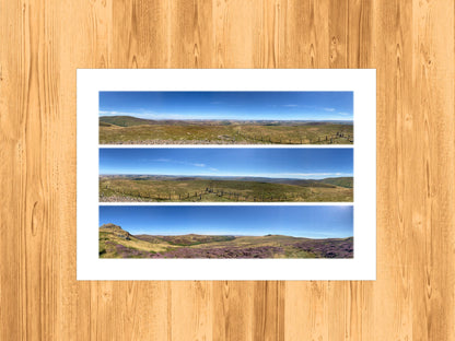 The Cheviots Purple Heather - Scenic Panoramic Photography - A3 Print